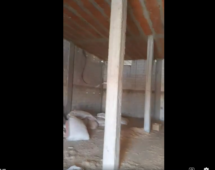 مزرعة بقر للبيع في حمص خلف كازية الحايك